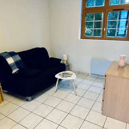 Apartment Arquebuse - Centre De Avec Jardin Troyes