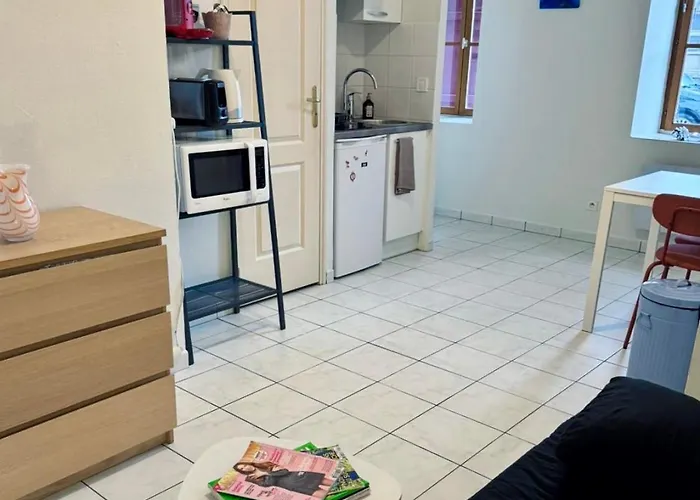 Arquebuse - Centre De Avec Jardin *